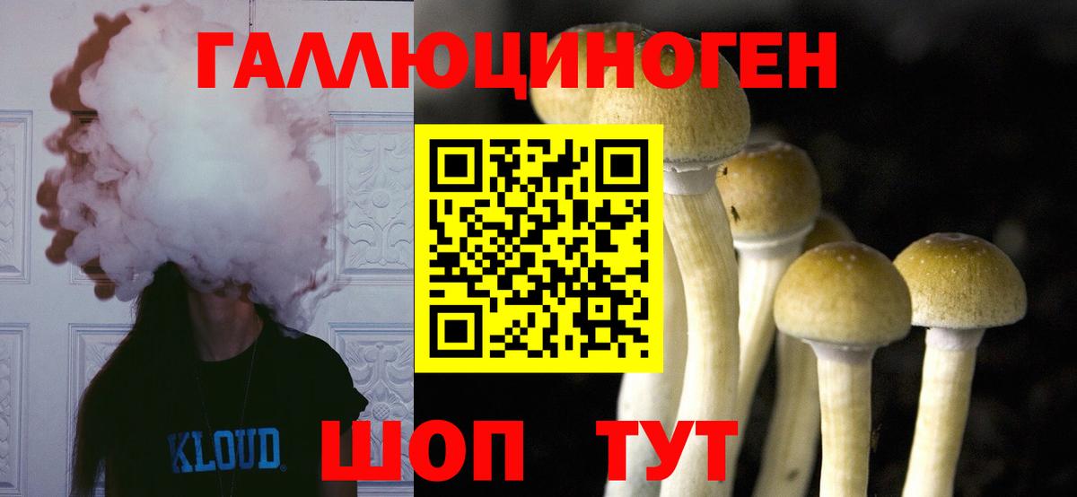 купить   Псилоцибиновые грибы Psilocybe  Вход с VPN  Нурлат 